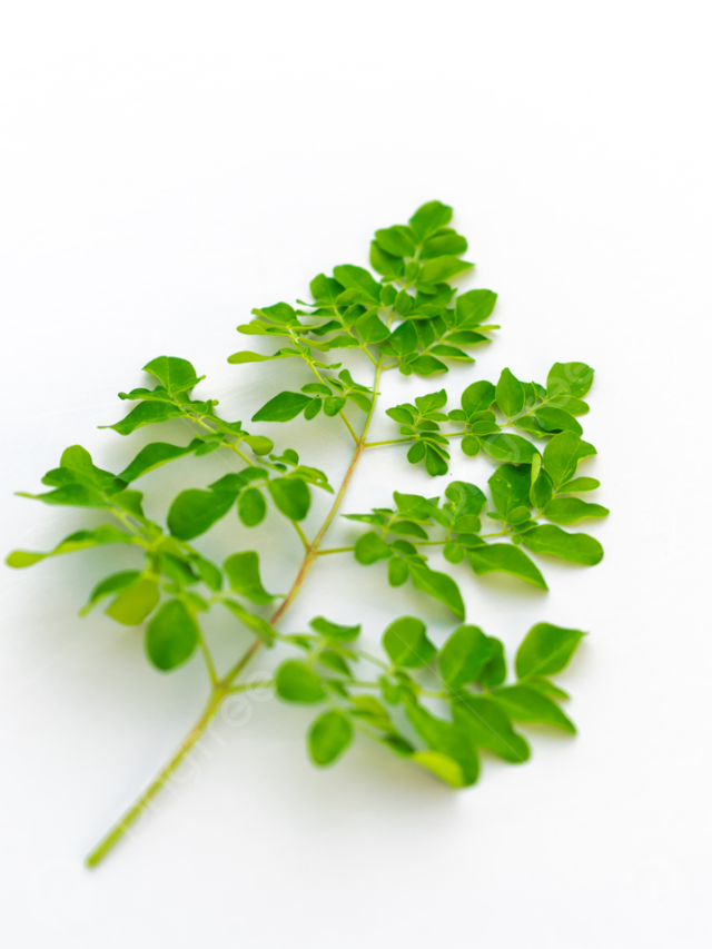 Moringa Benefits – The Miracle Tree of Life